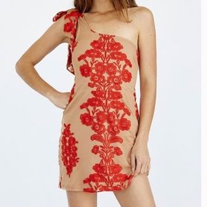 COPY - For Love and Lemons Dress
